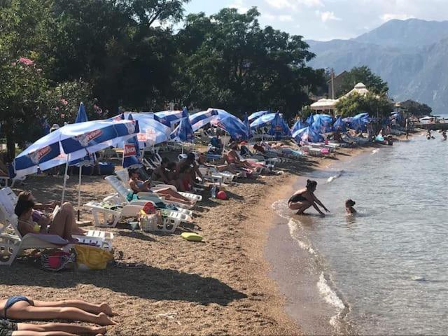 Villa Nikola Котор Екстер'єр фото